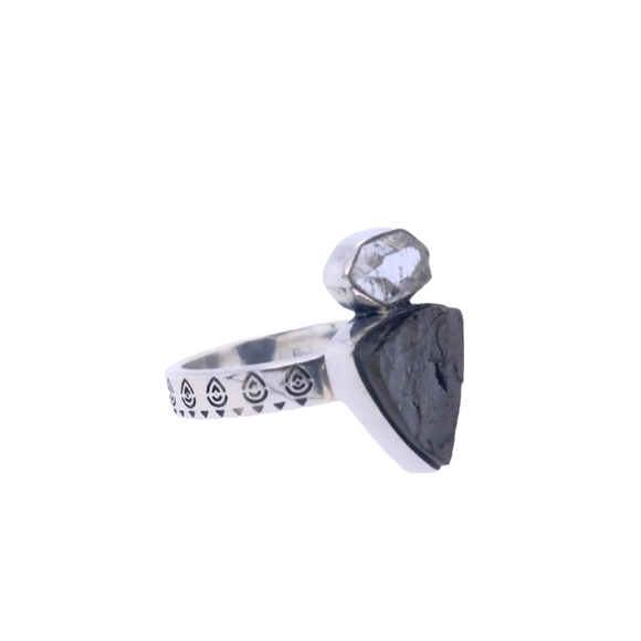 DEFENDER RING - Picture 2 of 8